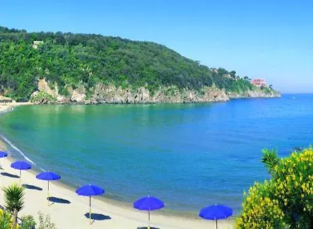 Vanilla * Ischia